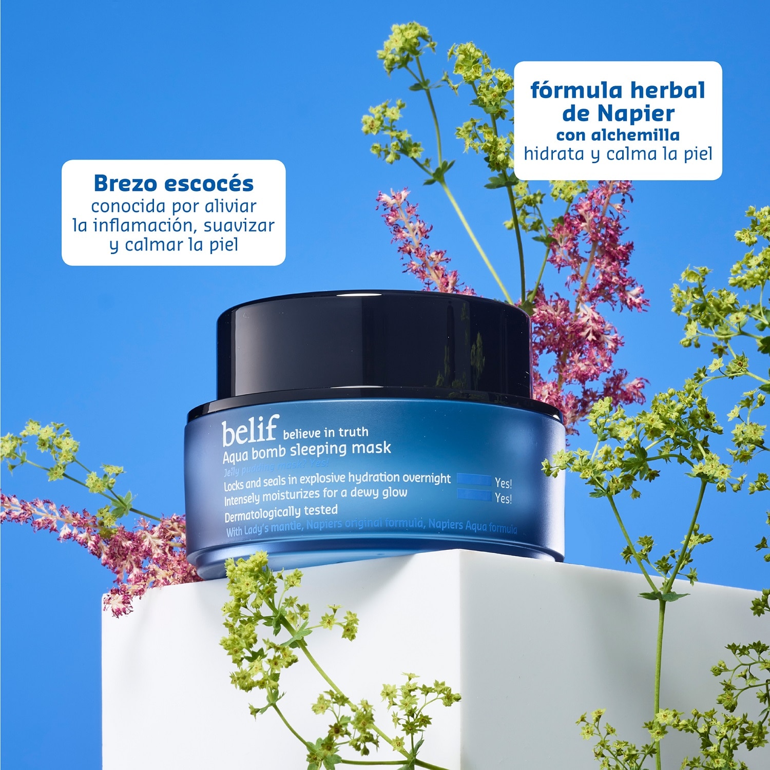 AQUA BOMB SLEEPING MASK (MASCARILLA NOCTURNA AQUA BOMB)